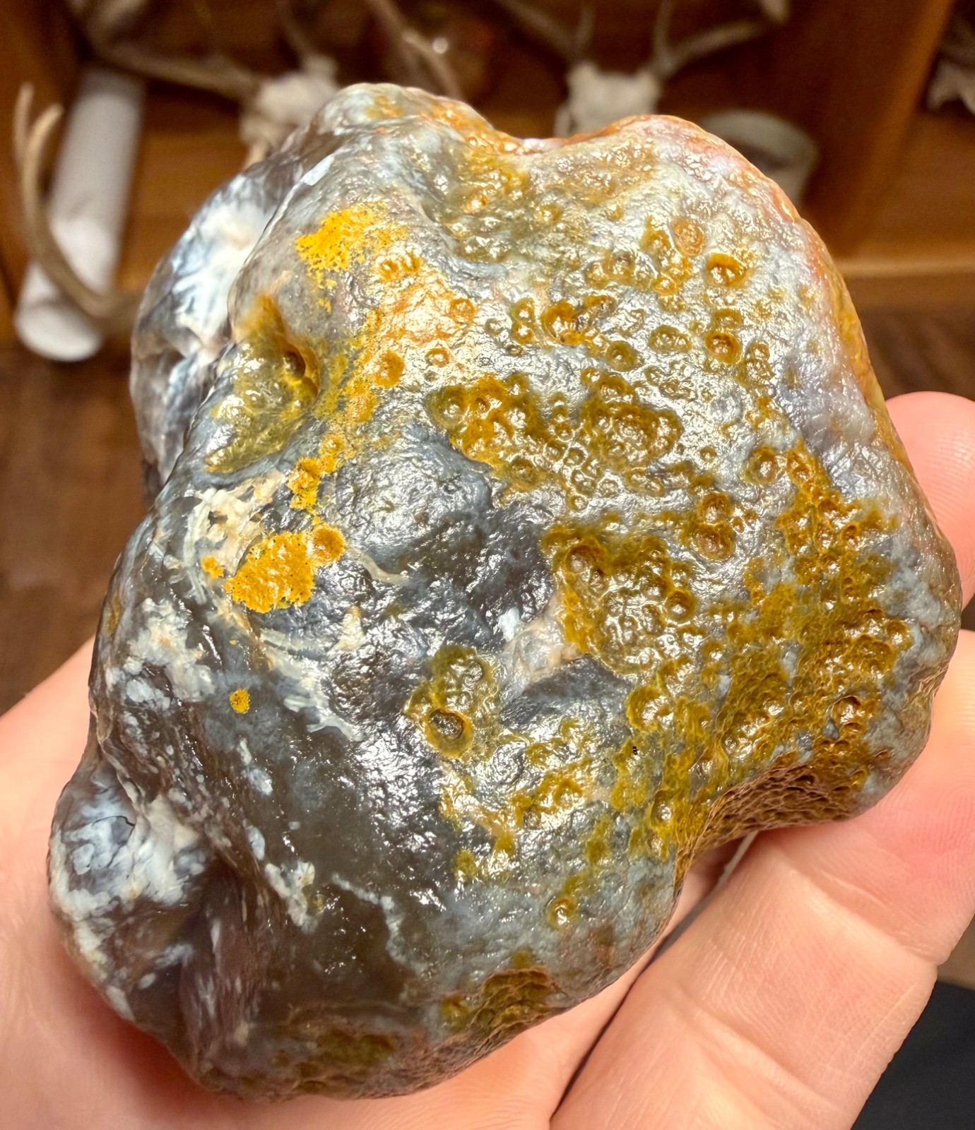 10.25oz LAKE SUPERIOR AGATE BIG BLUE JELLY SUNBLEACHED AND LIMONITE STAINING
