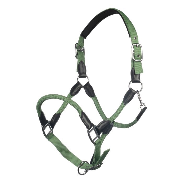 HKM Carlotta Halter