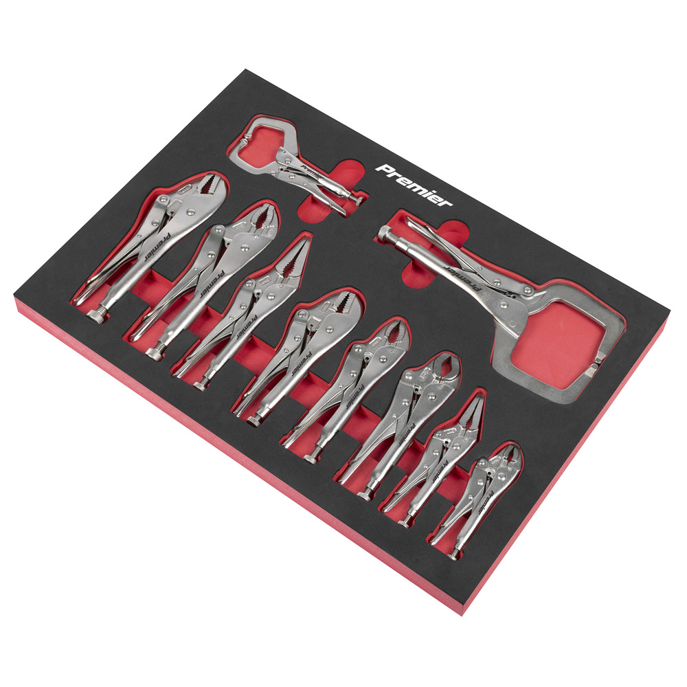 AK6802  Locking Pliers Set 10pc