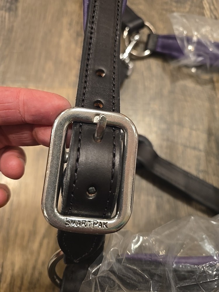 Leather Halter And Lead