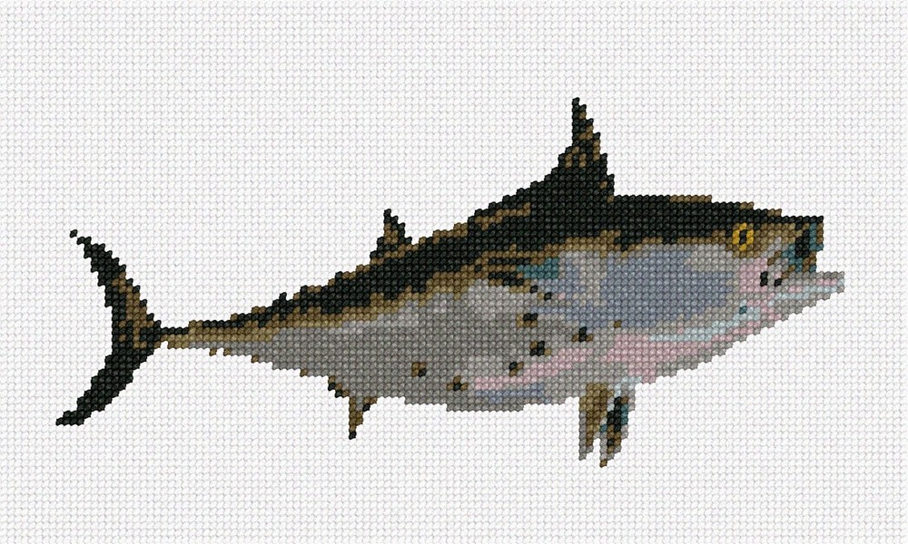 Bonito Fish Needlepoint Kit or Canvas