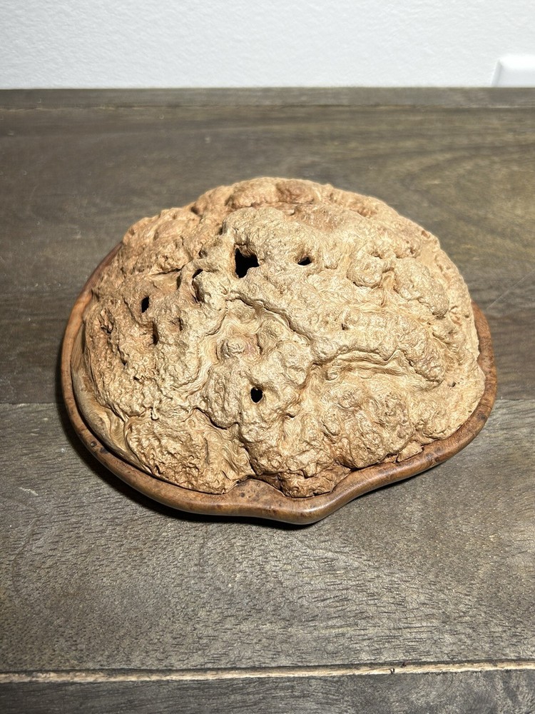 Tree burl handmade incense burner