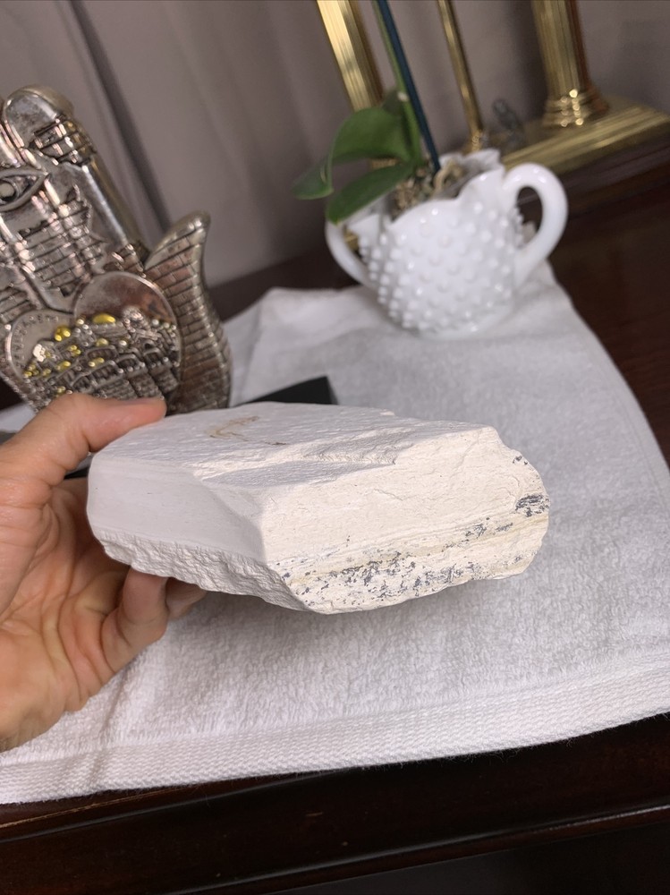 Fossil Fish - Plate Antique Rare