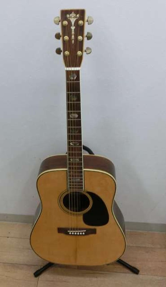 NASHVILLE N550D Acoustic Guitar