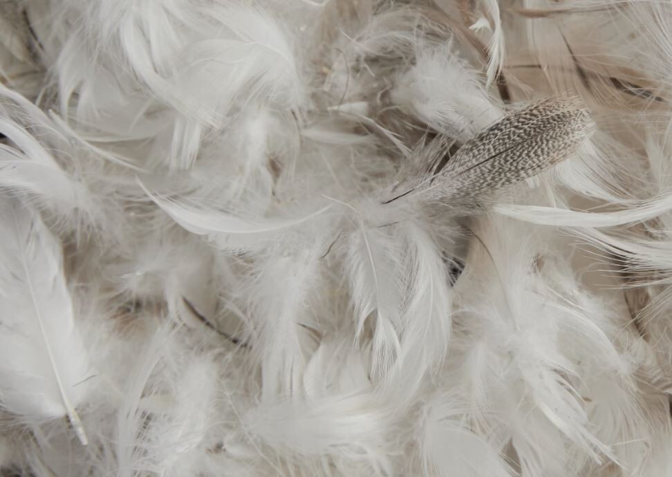 Parachute Home Premium Luxury Down Mattress Topper. King. New. Orig 495