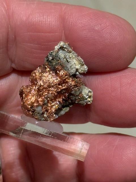 NICE THUMBNAIL SIZED COPPER-SILVER "HALF BREED", HOUGHTON MINE , MICHIGAN
