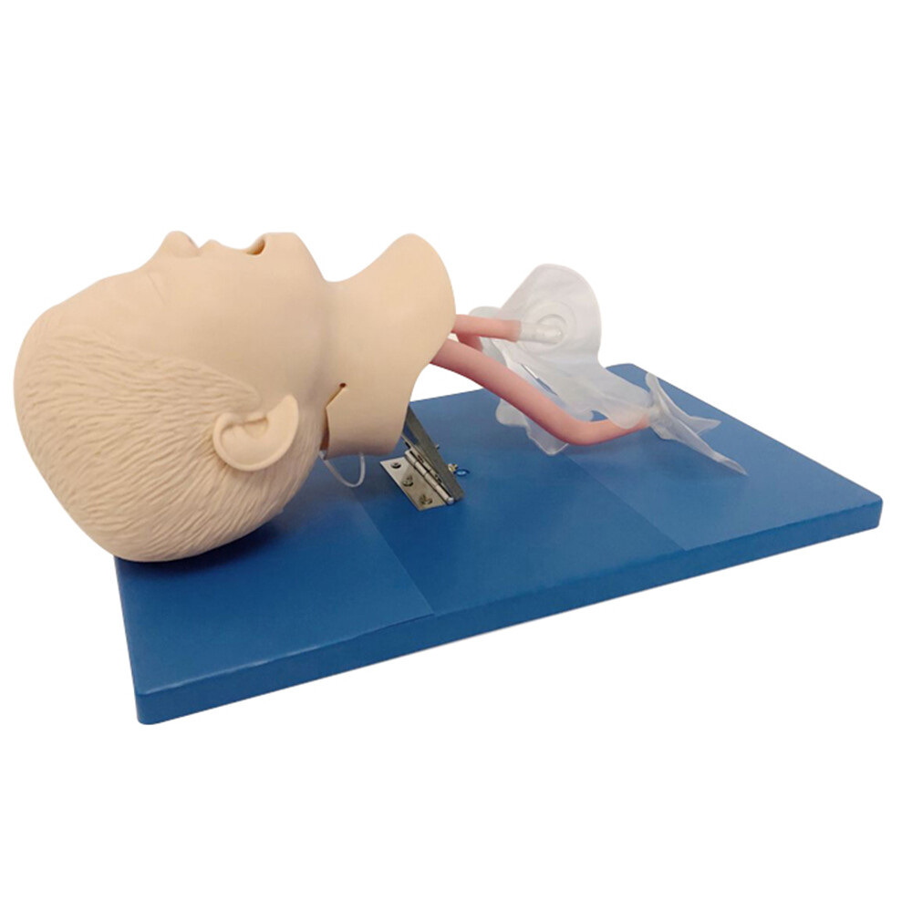 Pediatric Oral Nasal Intubation Manikin Study Teaching Model Training Study PVC