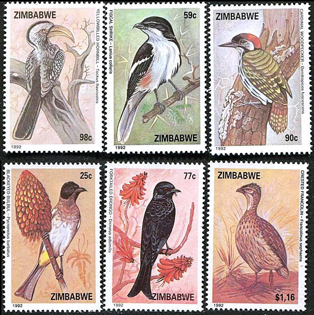 ZIMBABWE 1992 BIRDS mnh neuf HORNBILL 💲FREE SHIPPING💲