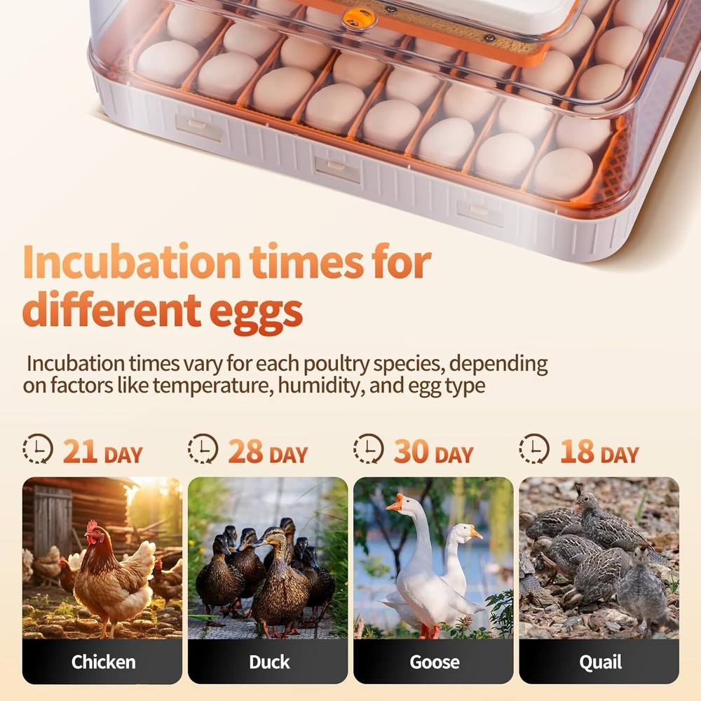 56 Egg Incubator with Auto-Turning, Hatching Temperature & Humidity Control