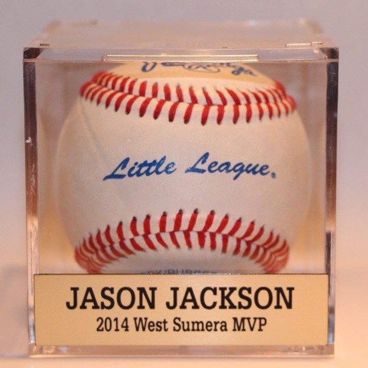 Baseball Cube Display Case with FREE Nameplate
