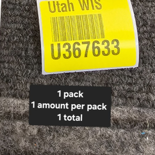 General Pump DuraView Inlet Filter Replacement 150 Max Psi