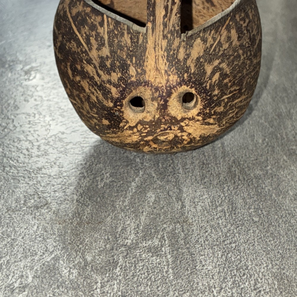 Hand Carved Coconut Shell Handled Basket