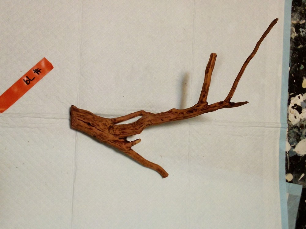 #79 Aquarium Driftwood Decoration