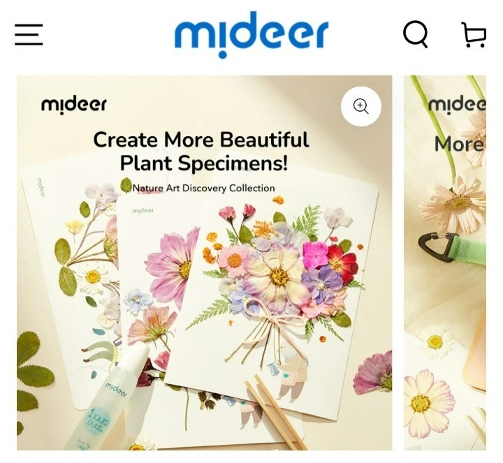 Mideer Nature Art discovery collection