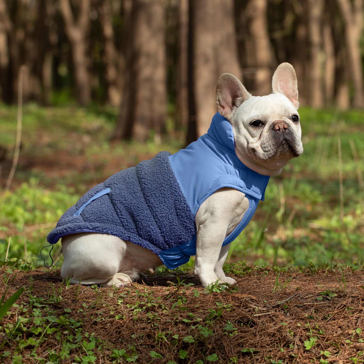 Windproof Dog Coat Snow Jacket Vest Adjustable Strap S-4XL Blue New