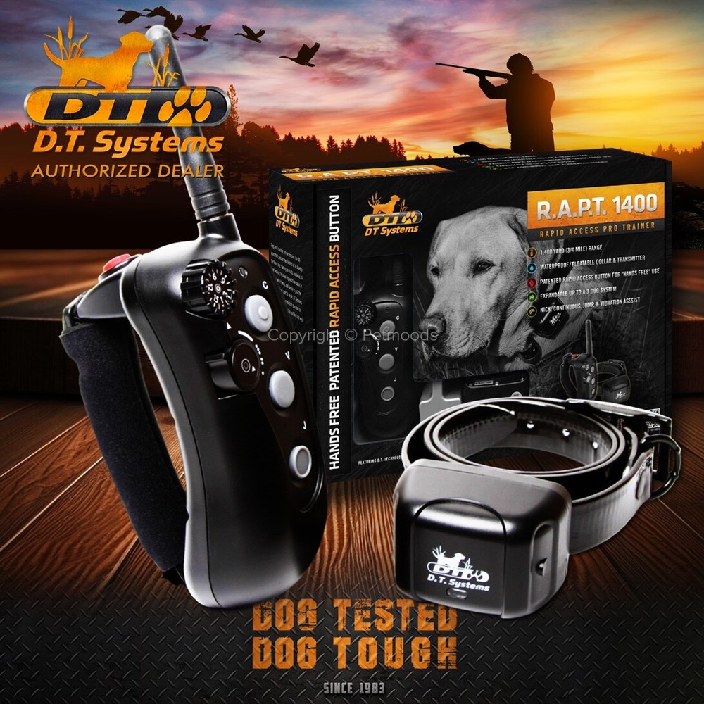 DT Systems Rapid Access Pro Trainer RAPT 1400