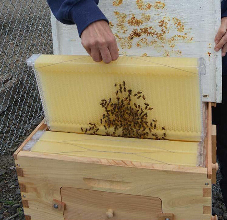 7x Auto Bee Frames Honey Plastic Beehive Frames for Brood Beekeeping Box House