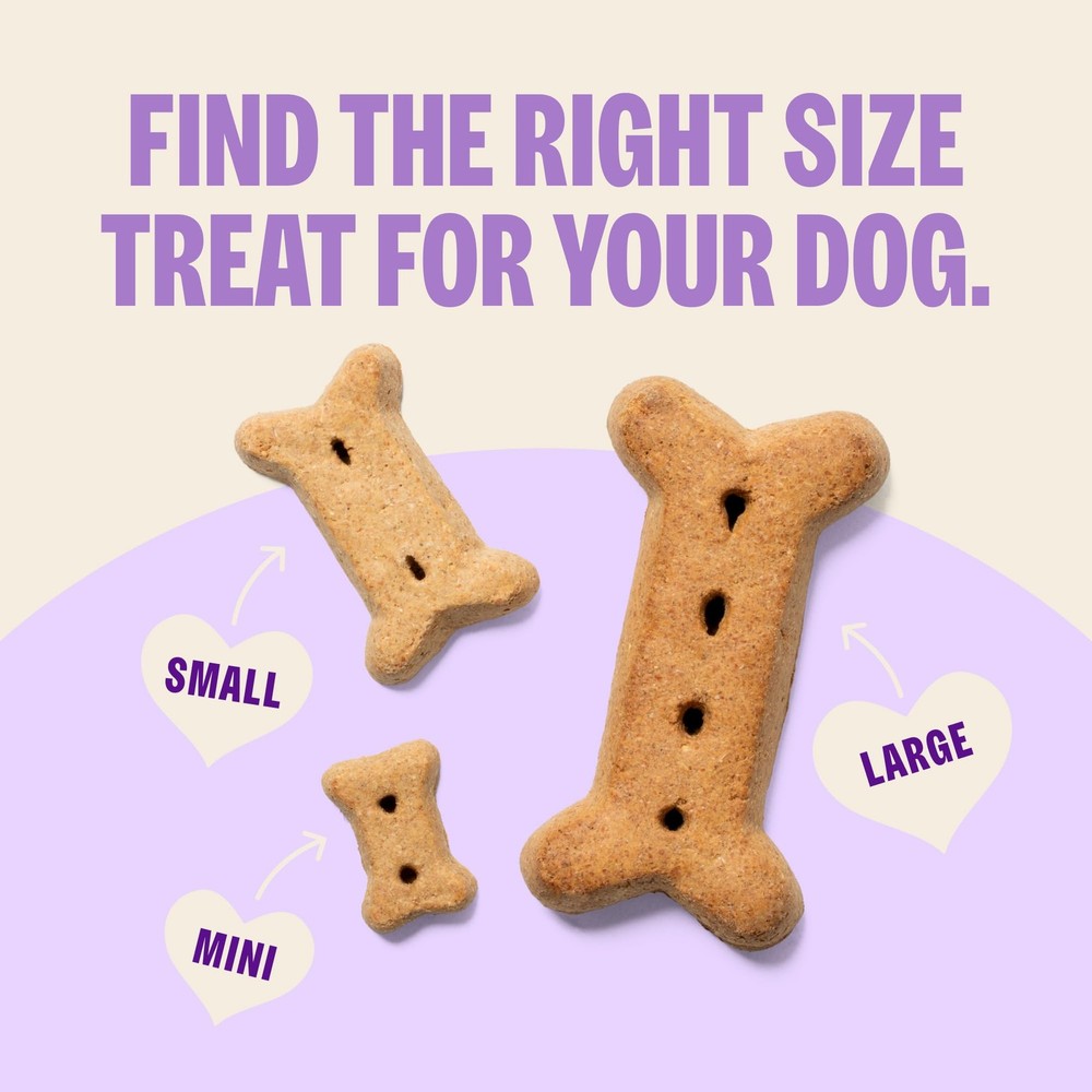 Old Mother Hubbard Mini Dog Biscuits 20oz