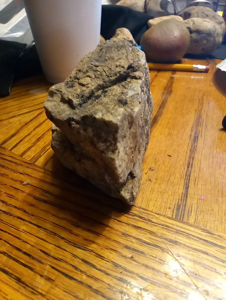 Fossils