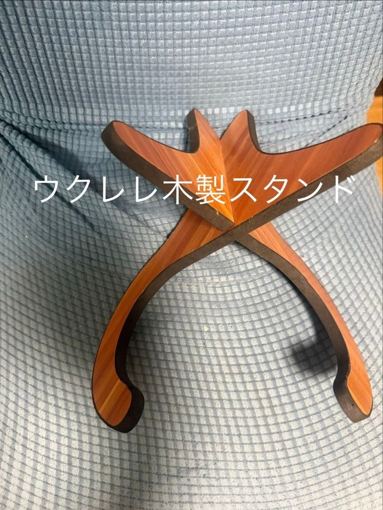 concert ukulele with case