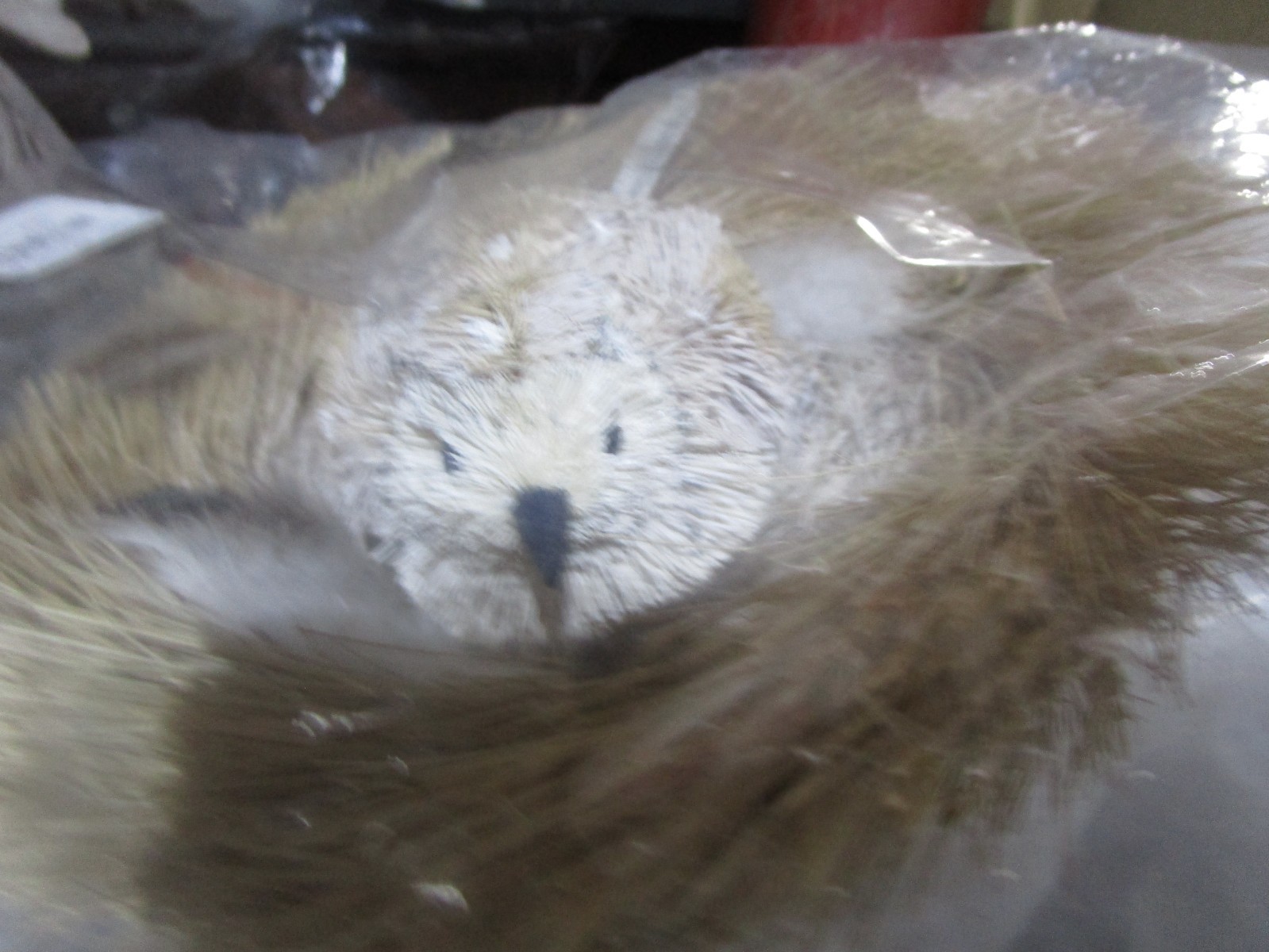 Pottery Barn birds nest 9 " New w tag