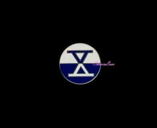 USA 10th Corps + a custom promo pin