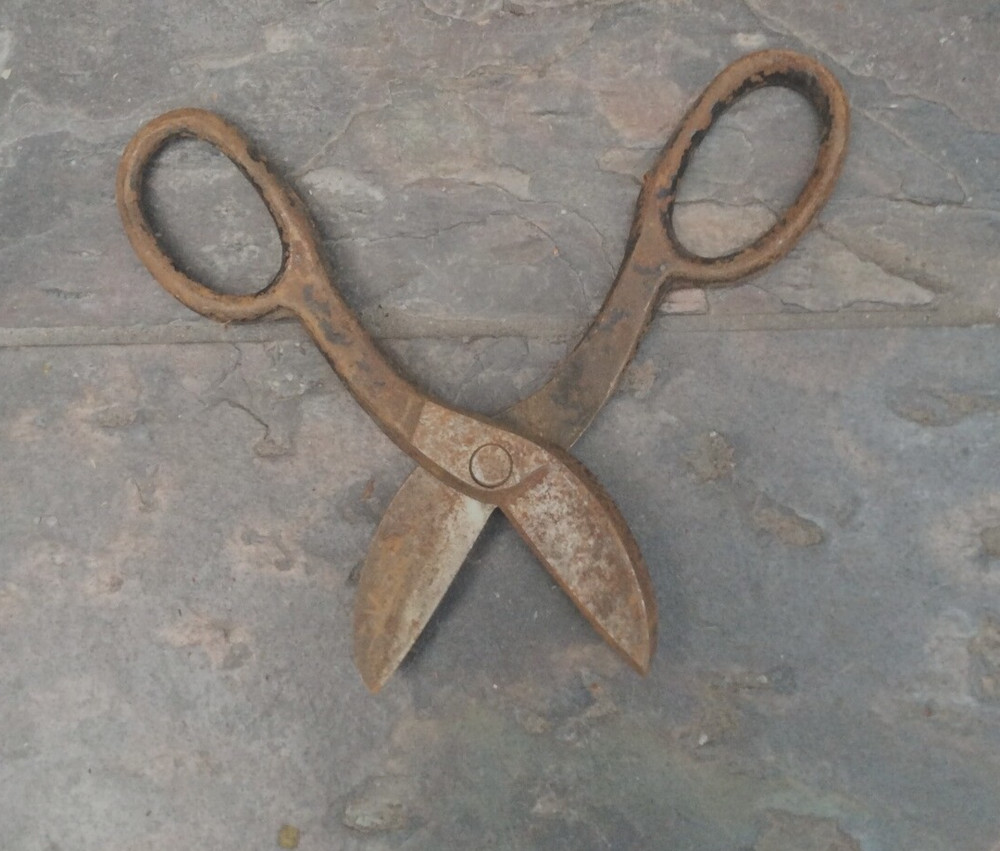 Vintage Blue Bird (?) Short Tin Snips
