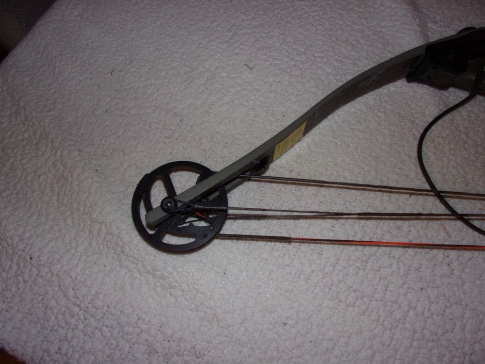 Proline Mount Compound Bow