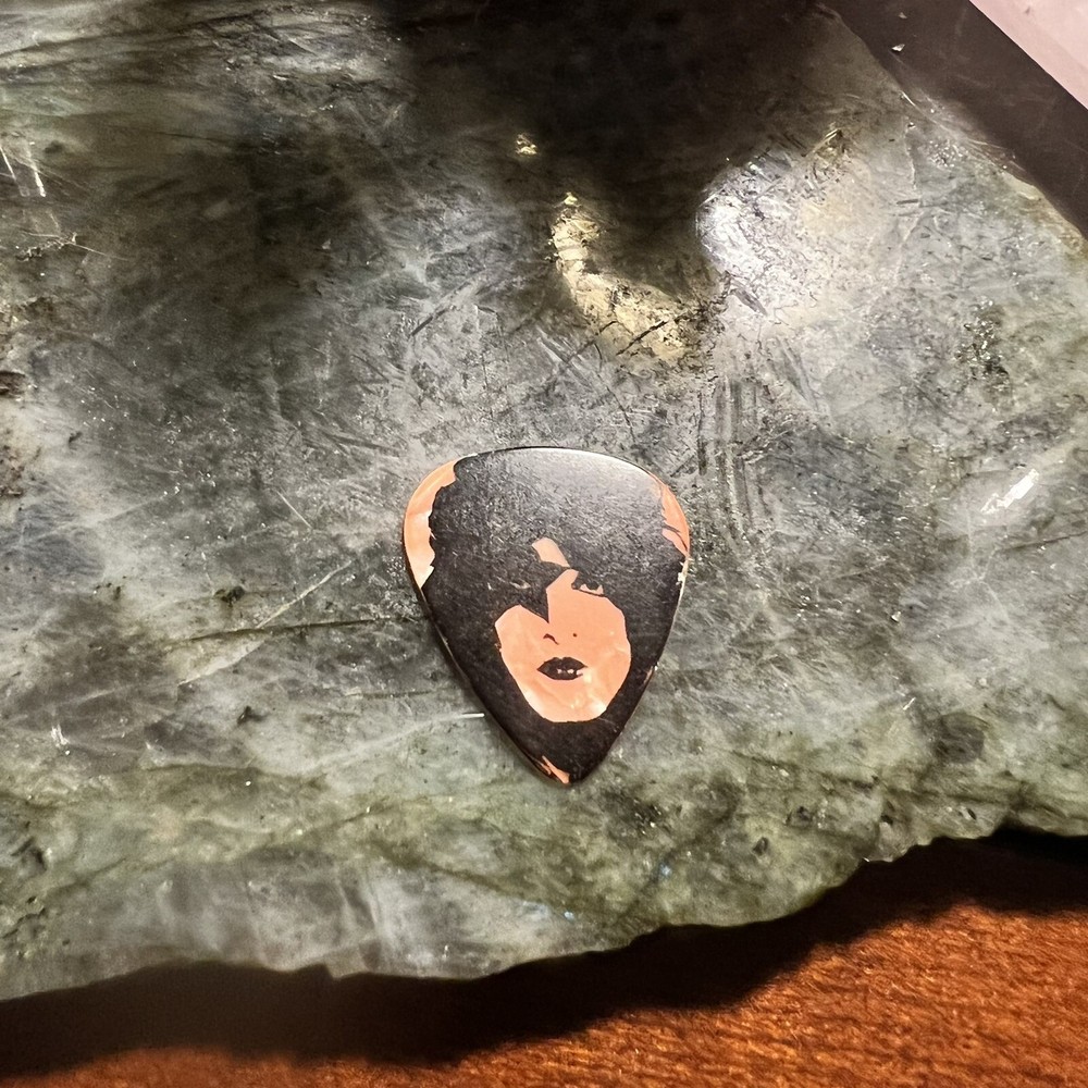 KISS Kruise IV Paul Stanley Guitar Pick Orange Pearl signed rock band rare 2014
