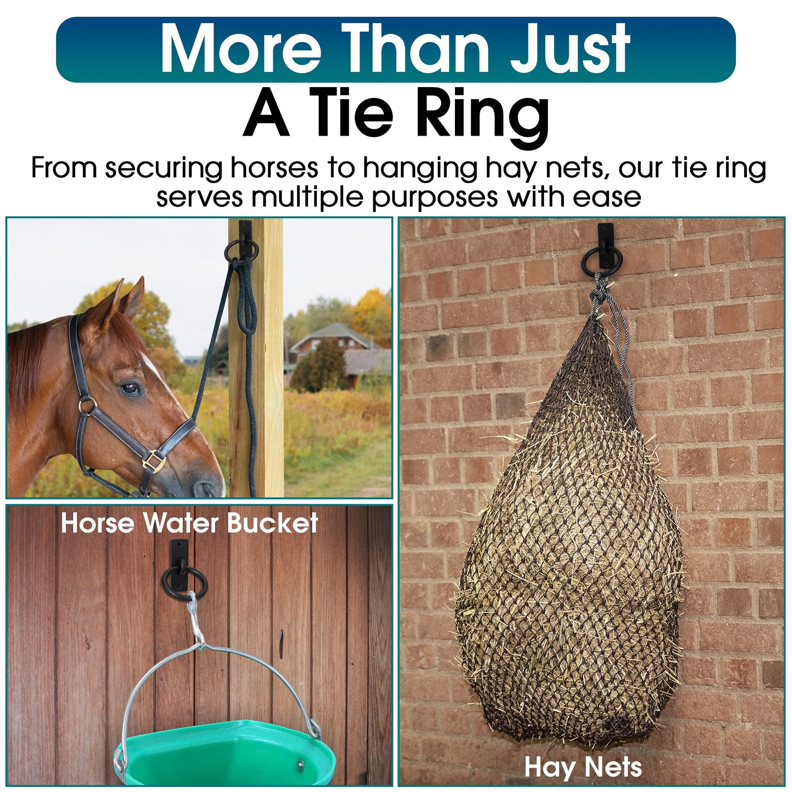 Sunset Valley Metalcraft Horse Tie Ring - 2-3/8" inches Heavy-Duty Black