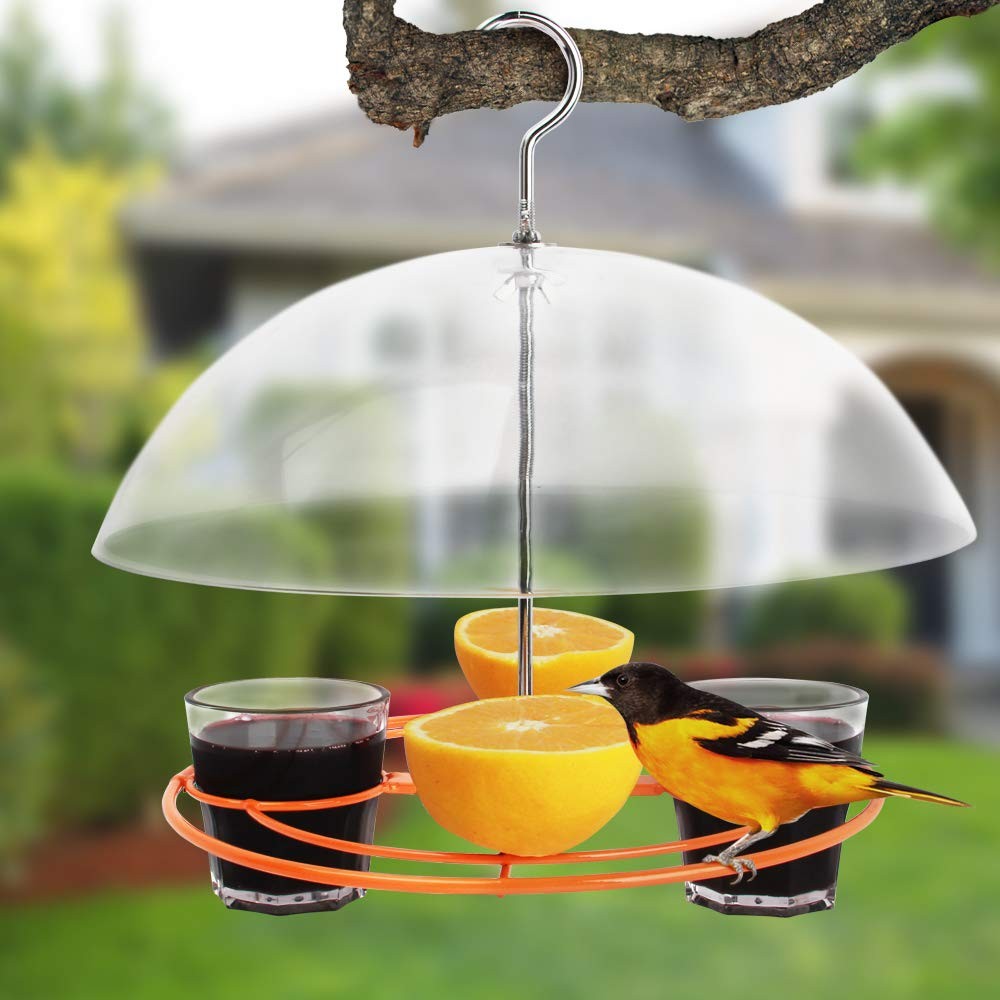 Solution4Patio Baltimore Oriole Feeder, Orange Halves Fruit & Grape