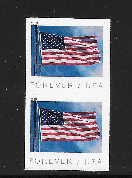 IMPERFORATE ERROR Coil Pair Scott #5343a, 2019 (55c) Forever Flag