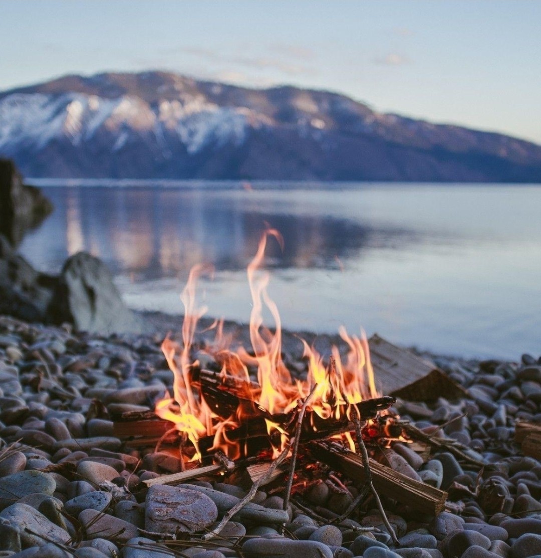 🔥 1 PACK Of 100 Fire Starter Plugs Survival Kit Waterproof Tinder Camping