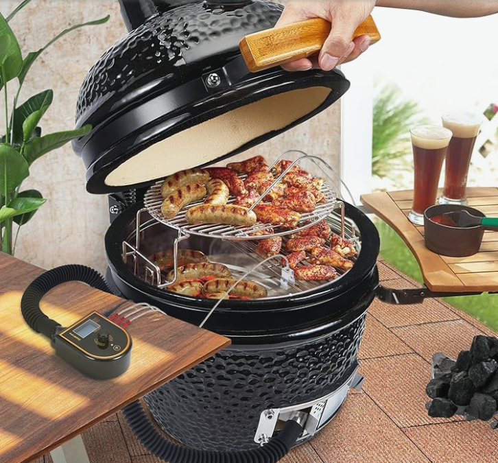 Barbecue Gas Grill Smokers Controller WiFi Bluetooth BBQ Exhaust Fan Control DC