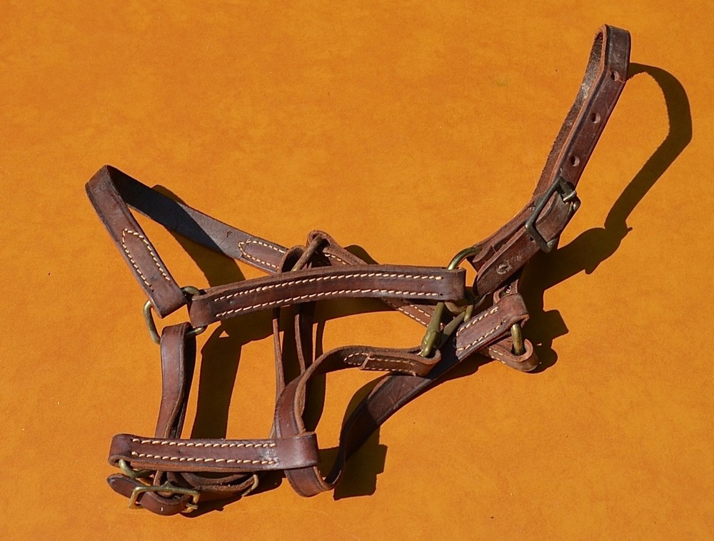 Leather Horse Halter