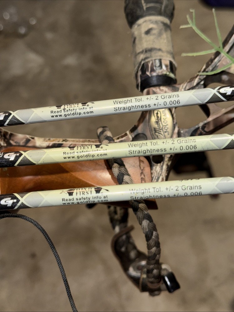 Matthews solo cam SE4 composite limb system Bow