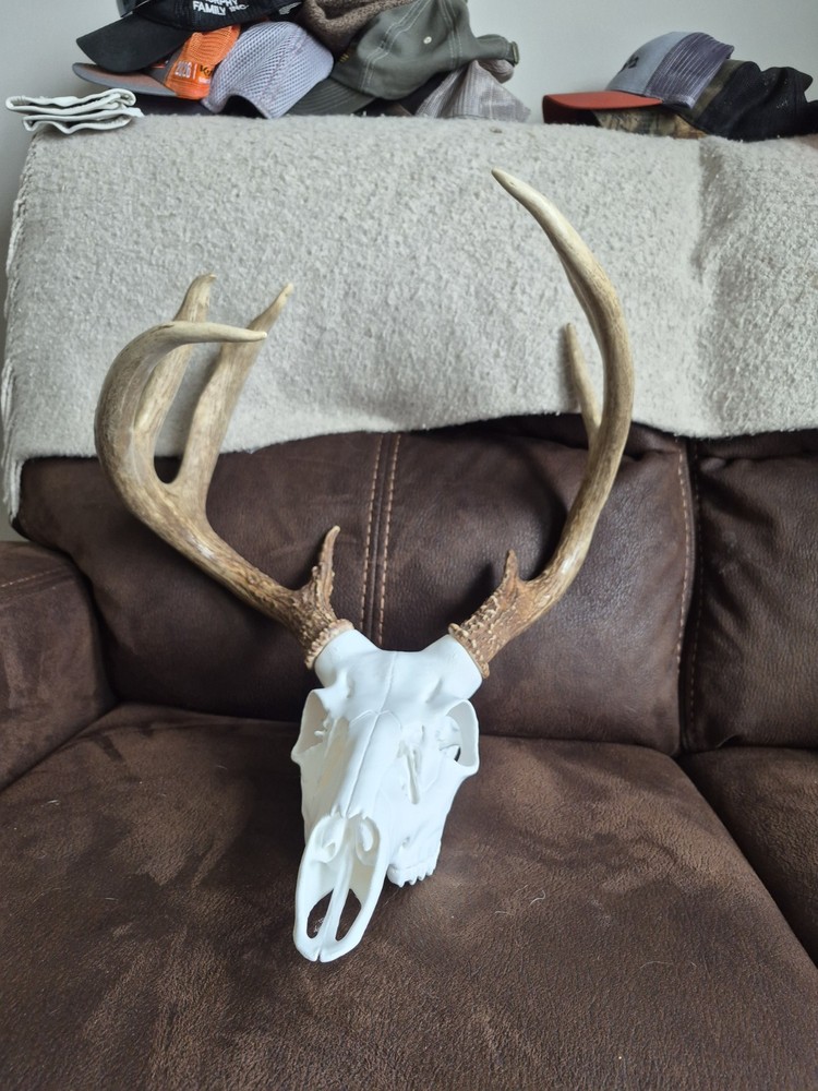 Whitetail Shed/mount Kit