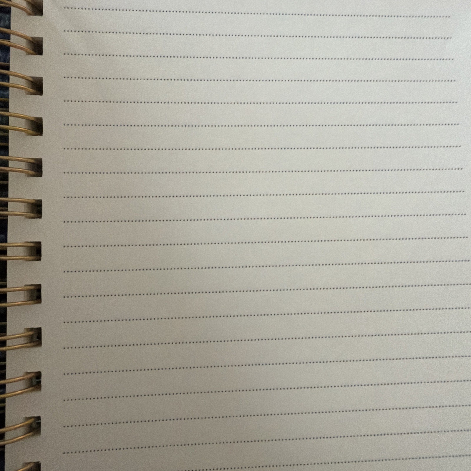 CLEMENTINE Journal Notebook 300 Lined Pgs Hardcover Spiral green Floral 8x6