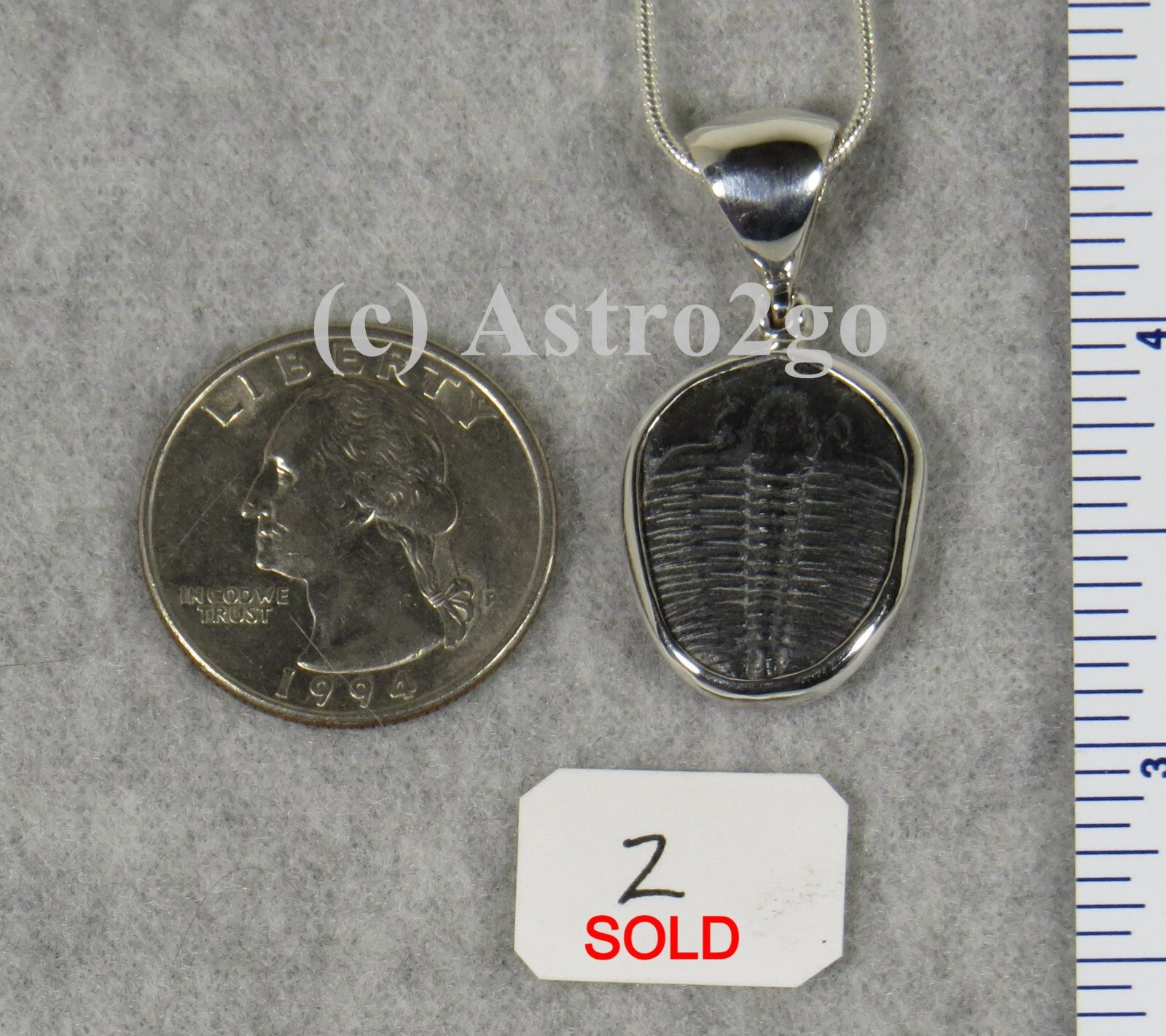 Elrathia Kingii TRILOBITE PENDANT $55 Sterling Silver Jewelry STARBORN CREATIONS