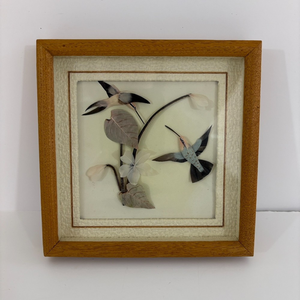 Hummingbird Feather Shadowbox Framed Art