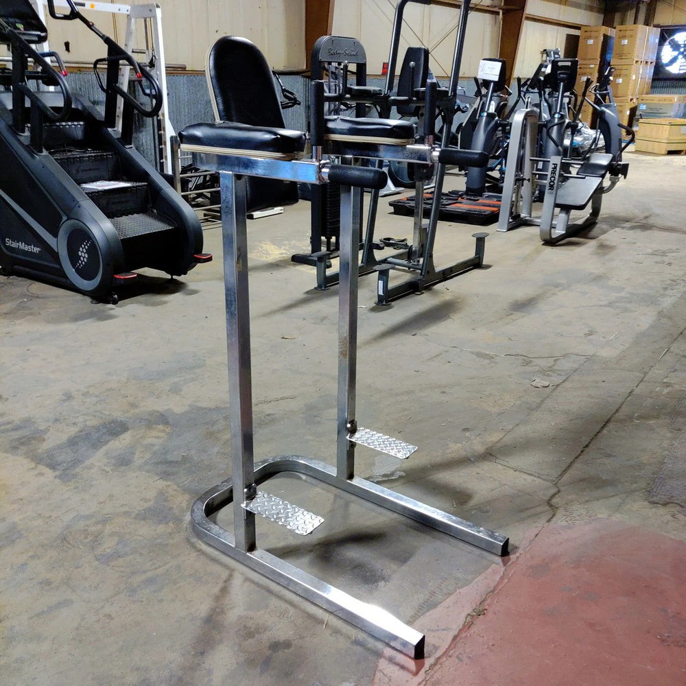 Vertical Knee Raise and Dip Station