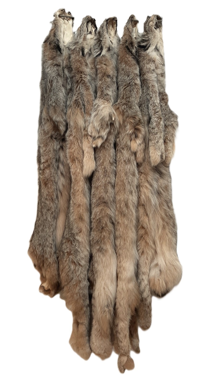 Lynx Pelt, VERY PLUSH & INCREDIBLY SOFT