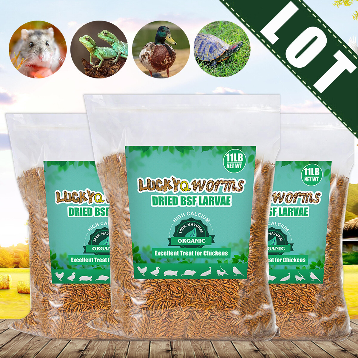 5-44LB Dried Black Soldier Fly Larvae Mealworms for Chicken Birds Treats Premium