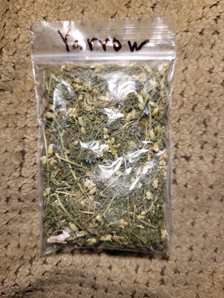 Yarrow Magick Medicinal
