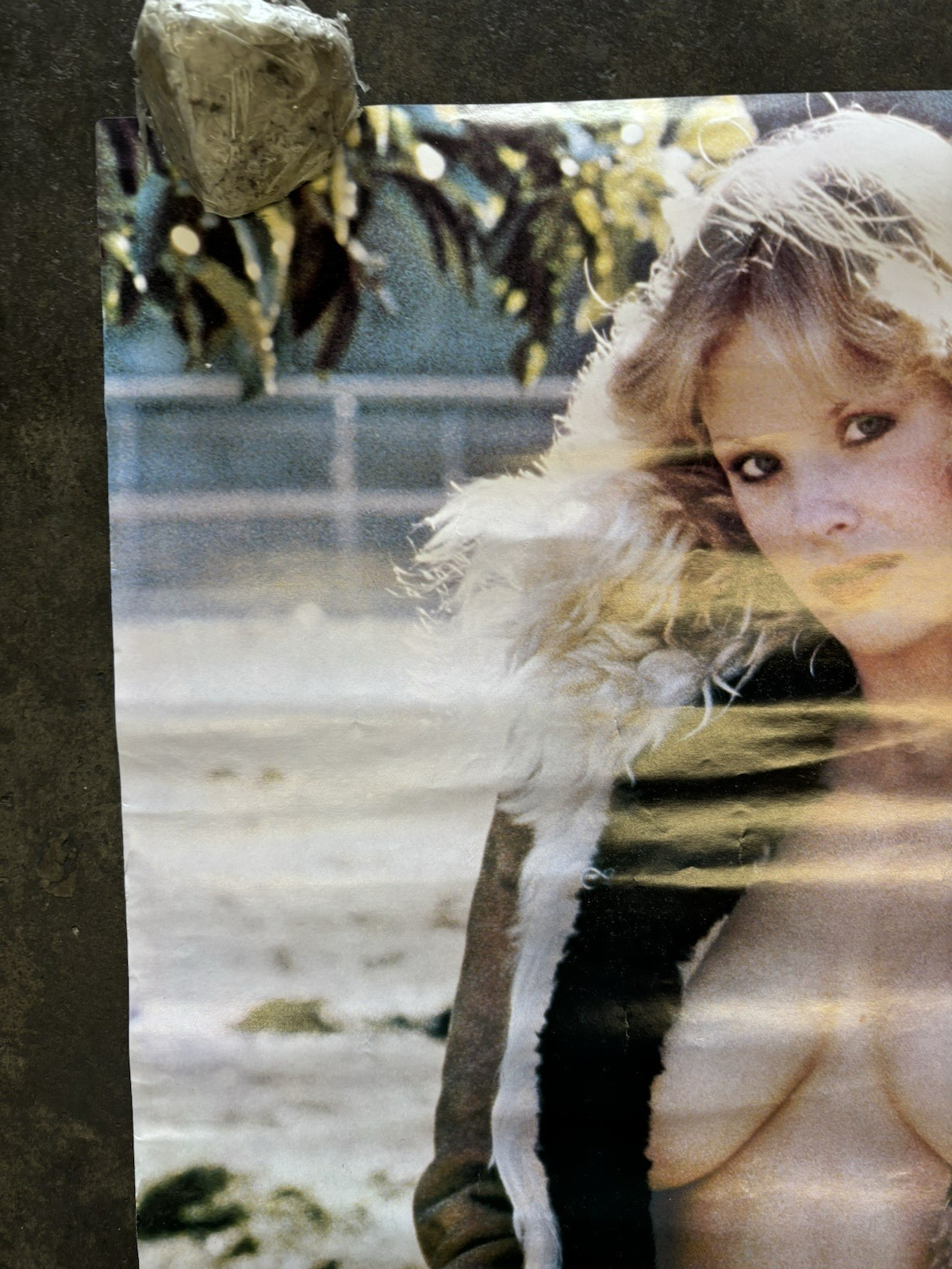 Dorothy Stratton playmate hot girl Poster 1979 car garage man cave C2803