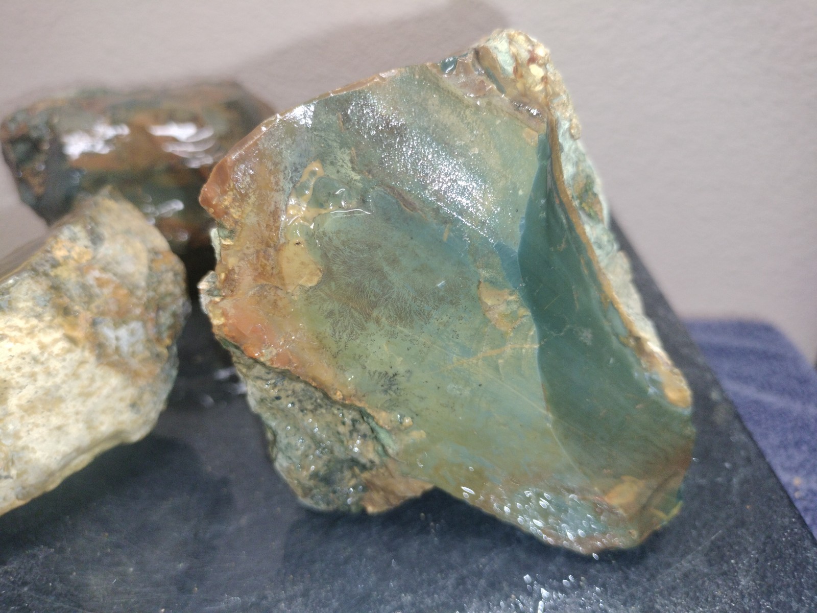 7.3LB ORBS Blue Mountain Picture Jasper Rough 6pc Lot #26