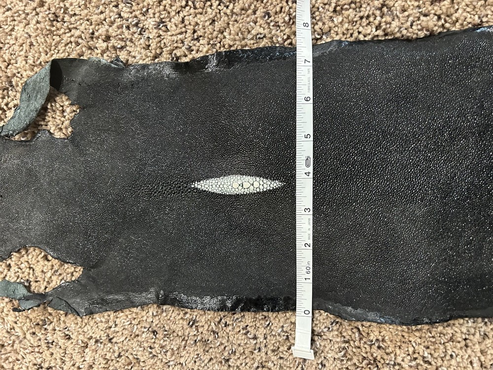 Stingray Hide