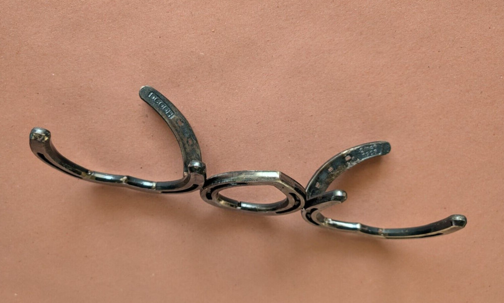 Horse Shoe "WOW" Art Work