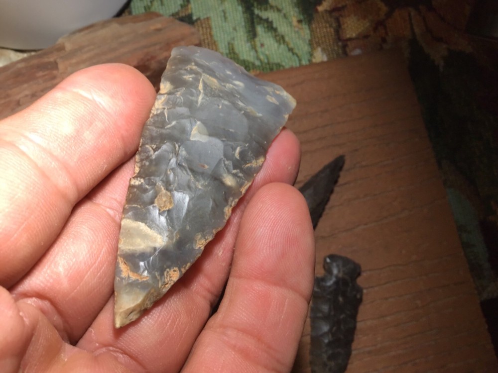 Dovetail, Early Triangular, and Darl Modern Arrowheads