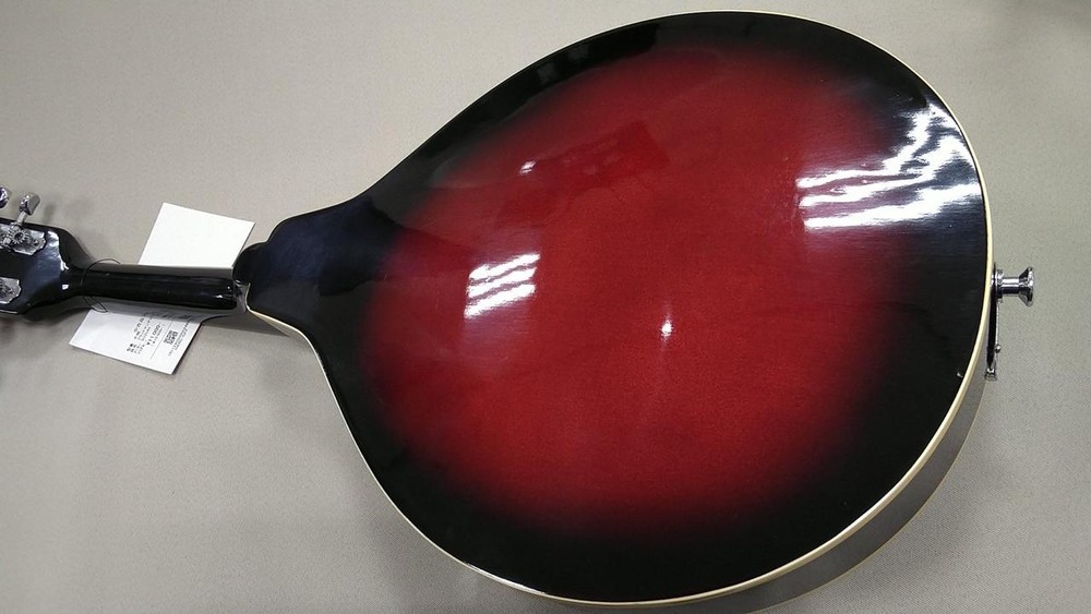 SUZUKI Unknown Flat Mandolin